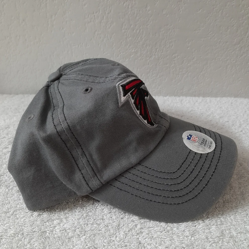 Falcon - Picture 3 of 5